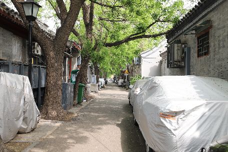 黑芝麻胡同 - 位于區(qū)域的西北部，呈東西走向